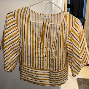 TCEC black, white, gold striped crop top